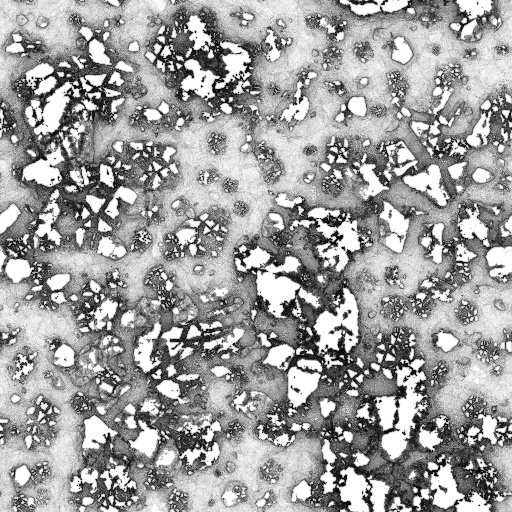 Ambient Occlusion Map