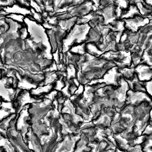 Bump Map