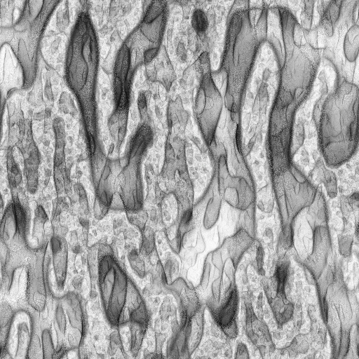 Ambient Occlusion Map