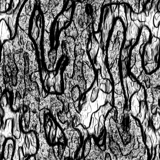 Reflective Occlusion Map