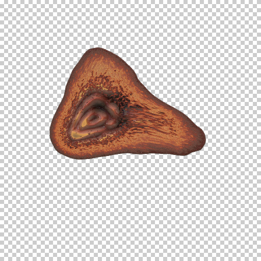 Variation 5
