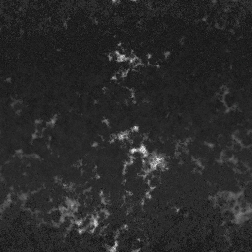 Bump Map