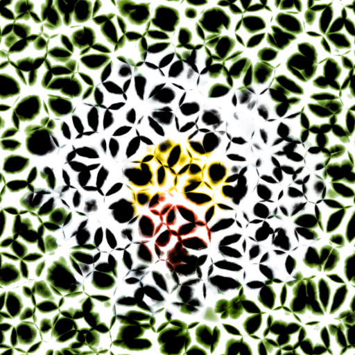 Variation 2