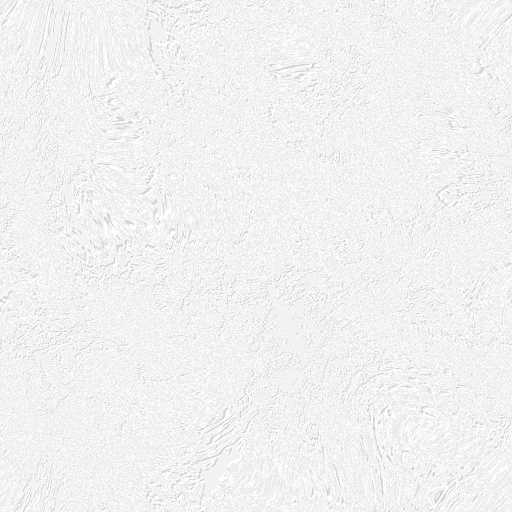 Diffuse Map
