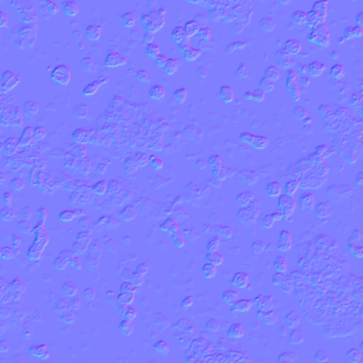 Normal Map