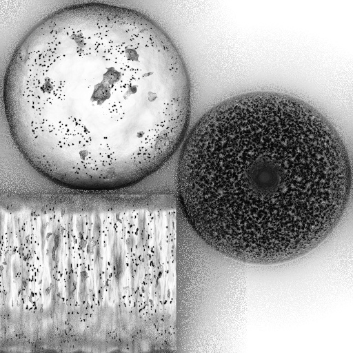 Ambient Occlusion Map