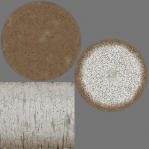 Diffuse Map