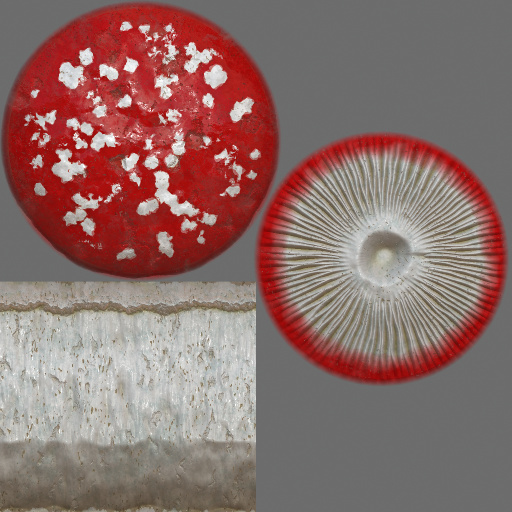 Variation 4