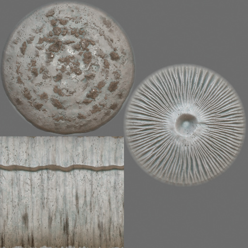 Variation 6