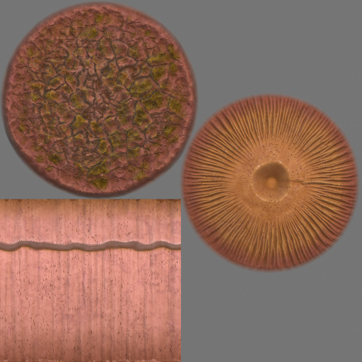 Variation 8