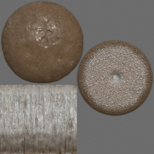 Mushroom