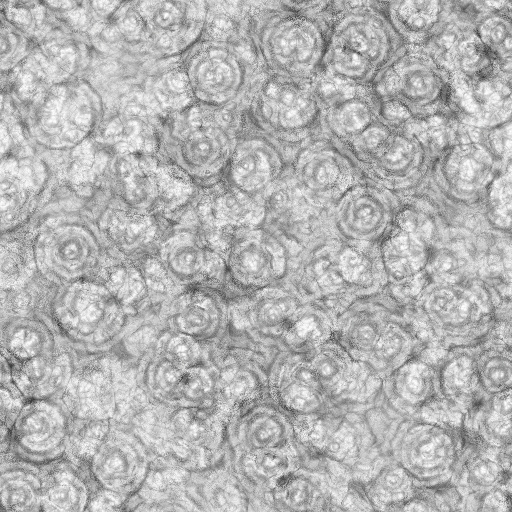 Ambient Occlusion Map