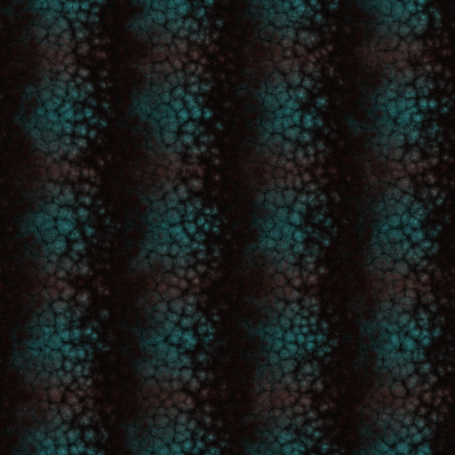 Variation 7