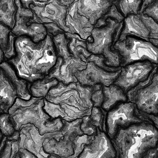 Ambient Occlusion Map