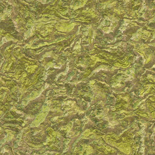Variation 8