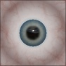 Eye Maps
