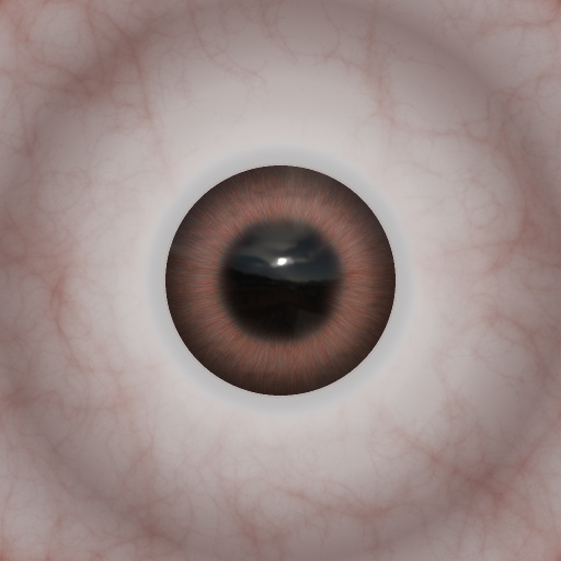 Variation 4