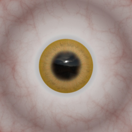 Variation 5