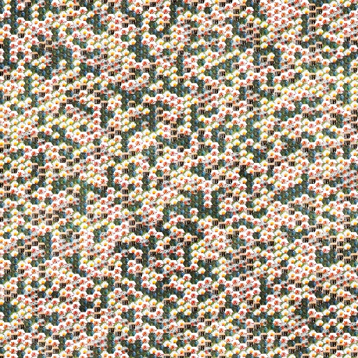 Variation 8