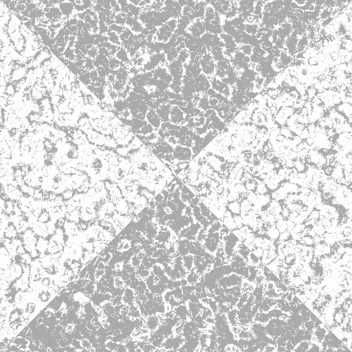 Bump Map