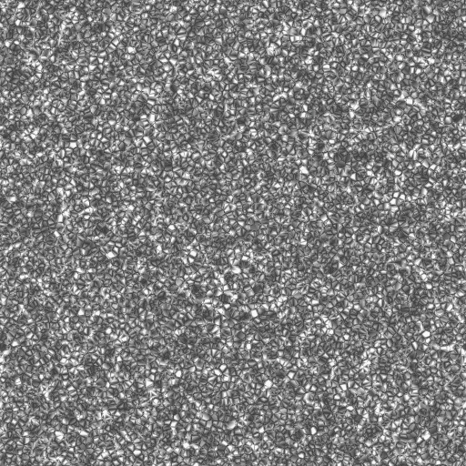 Bump Map