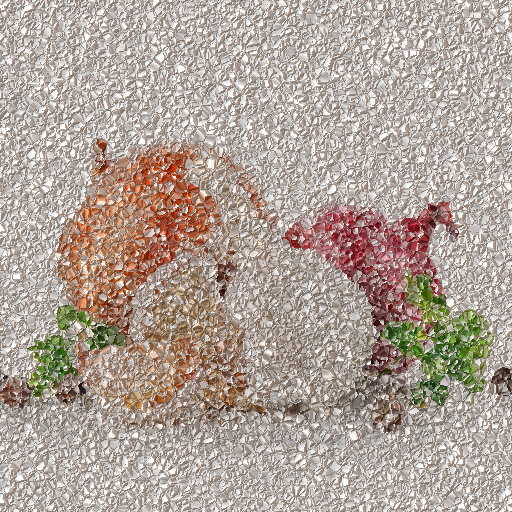 Variation 1