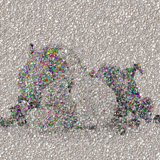 Variation 4