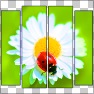 GF Frame 4 in 1 for Images or Photos