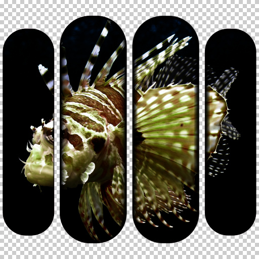 Variation 2