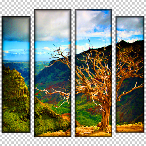 Variation 3