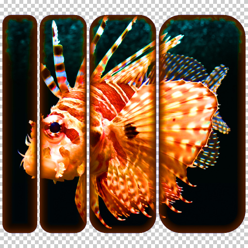 Variation 7