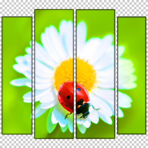 GF Frame 4 in 1 for Images or Photos (Texture)