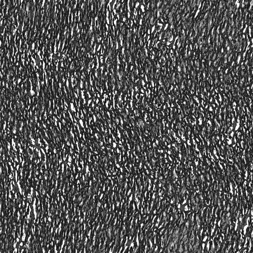 Ambient Occlusion Map