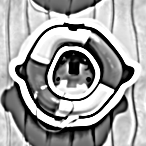 Variation 7