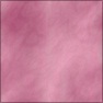 Rose Petal