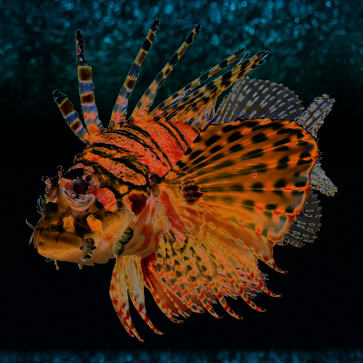 Variation 8
