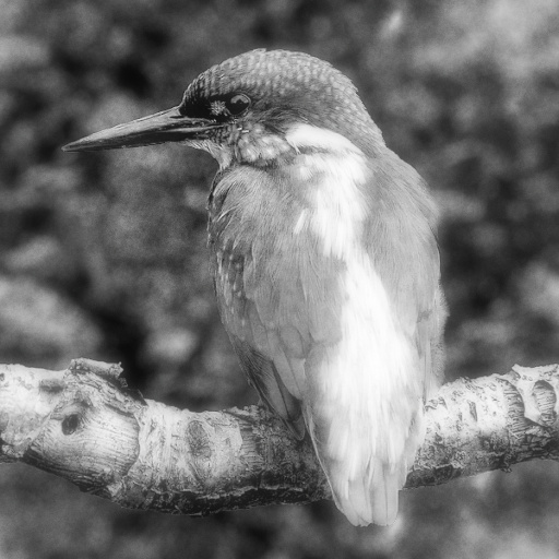 Variation 5