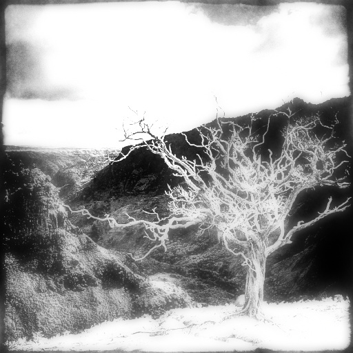 Variation 8