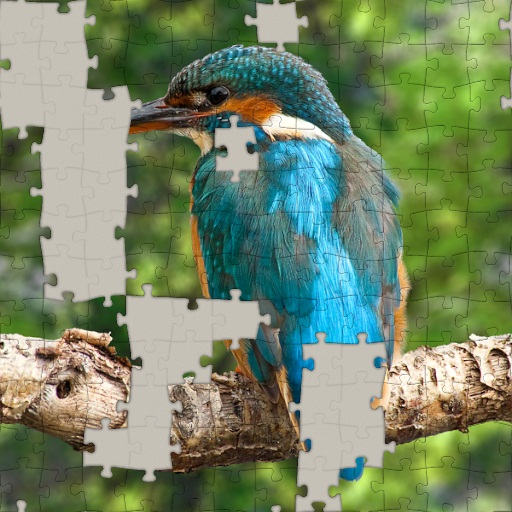Variation 5