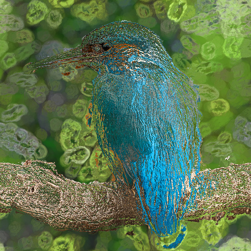 Variation 5