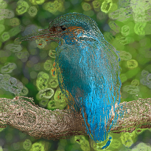 Variation 6