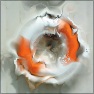 Noisy Blur