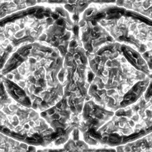 Ambient Occlusion Map