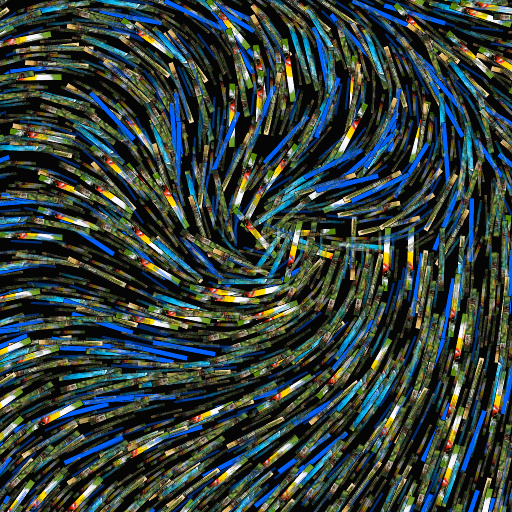 Variation 8
