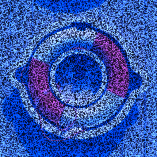 Variation 5