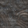 Alien Incarnation