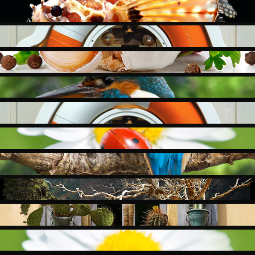 10 Images or Color Stripes Mix V_2.0 Horizontal by SpaceRay