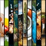 10 Images or Color Stripes Mix V_2.0 Vertical