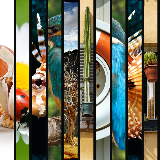 10 Images or Color Stripes Mix V_2.0 Vertical (Effect)