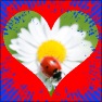 Grunge Heart Frame